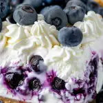 Indulge in the Ultimate No-Bake Blueberry Graham Cracker Delight: Easy & Delicious Recipe